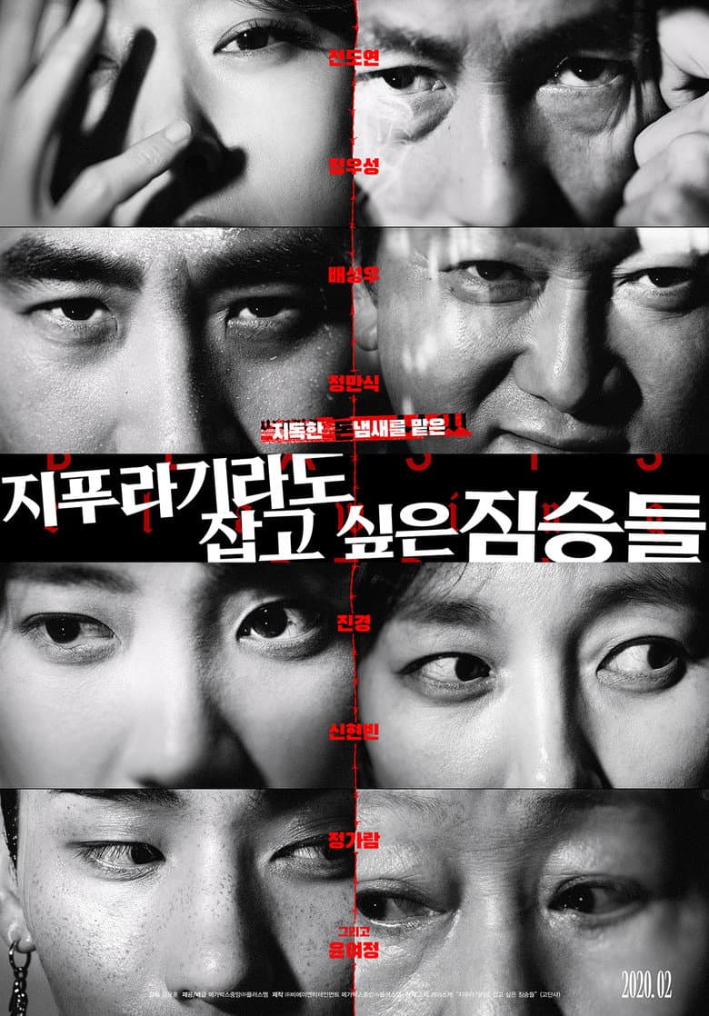 Ảnh poster