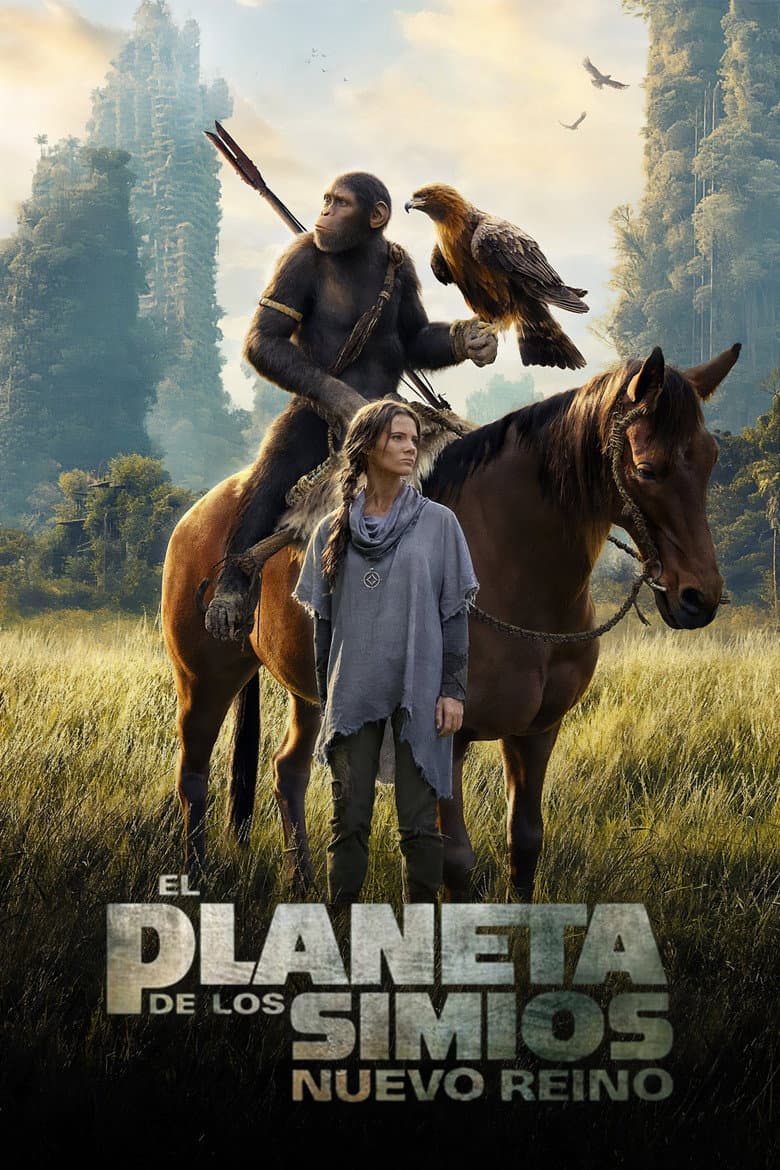 Ảnh poster