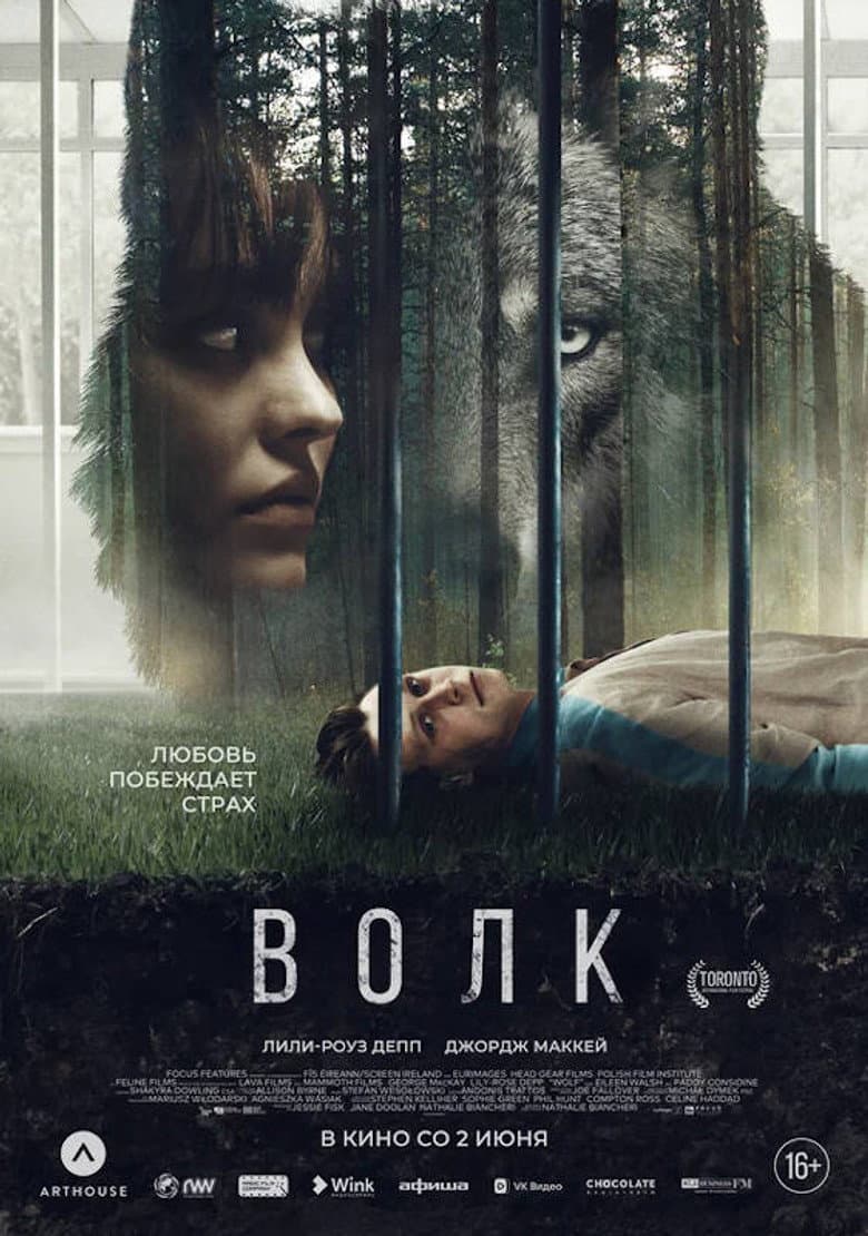 Ảnh poster