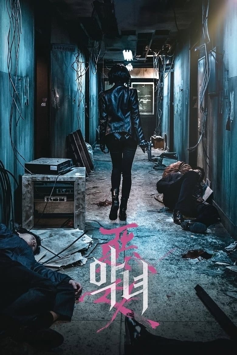 Ảnh poster
