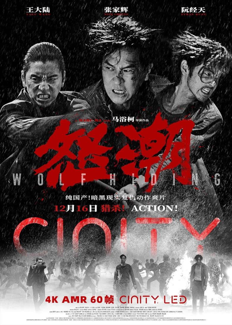 Ảnh poster
