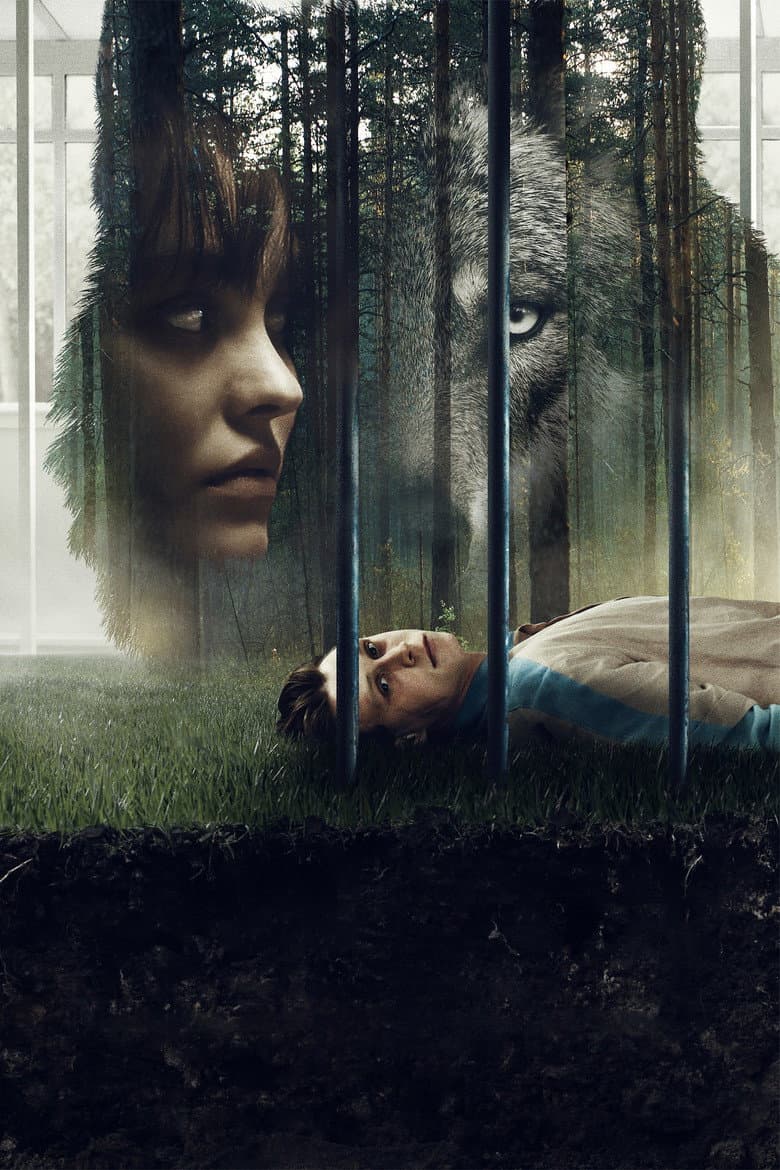 Ảnh poster