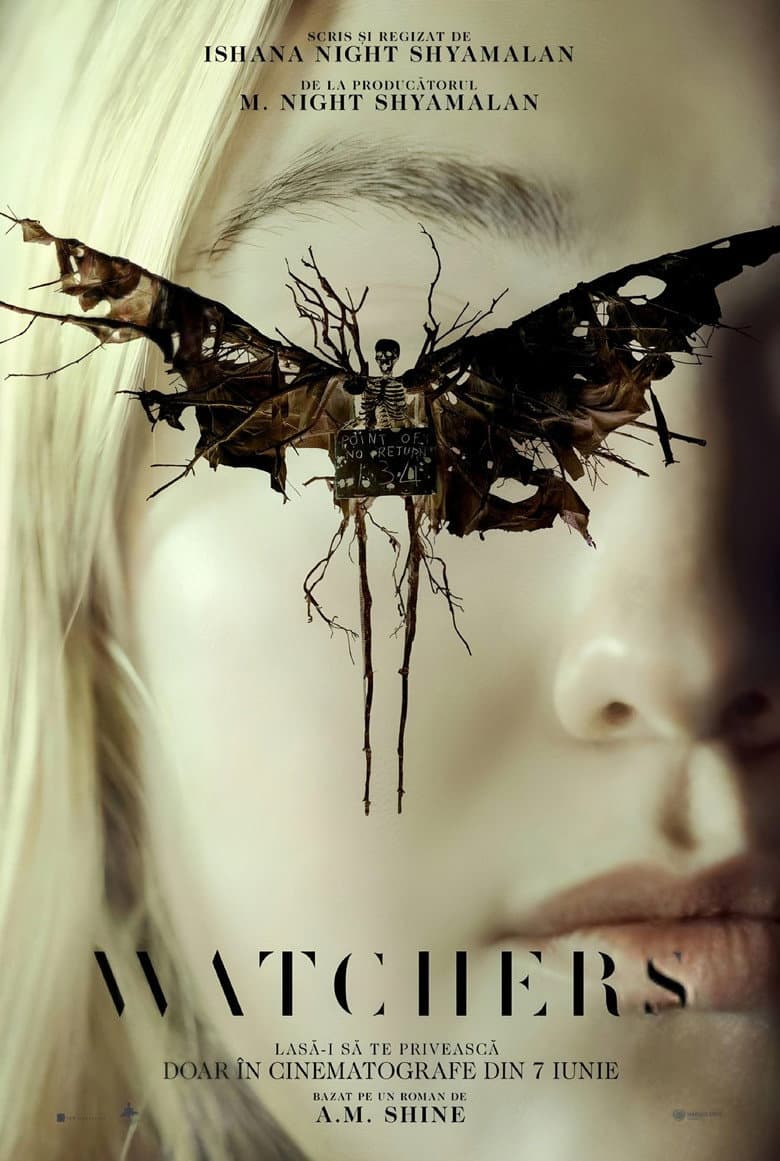 Ảnh poster