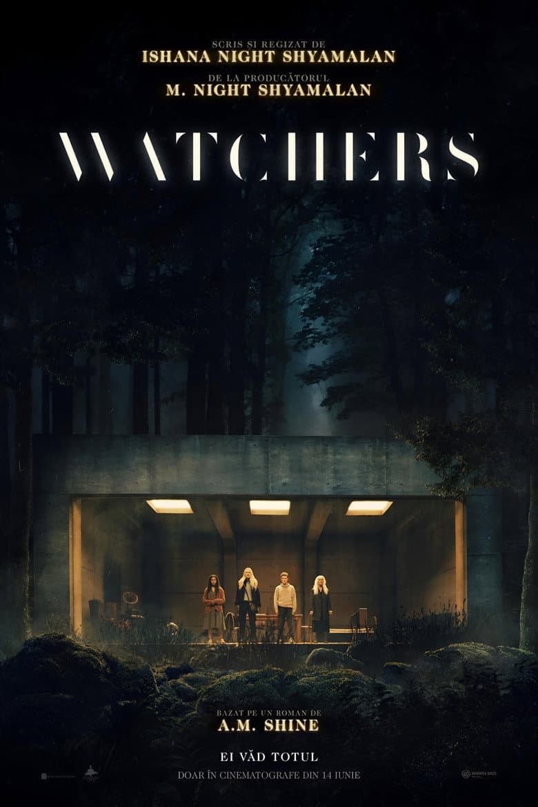 Ảnh poster