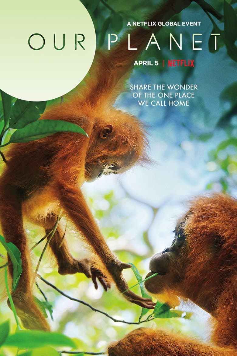 Ảnh poster