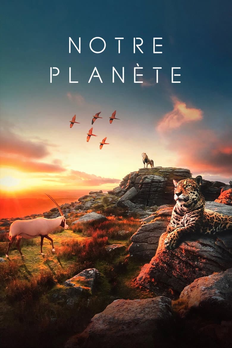 Ảnh poster