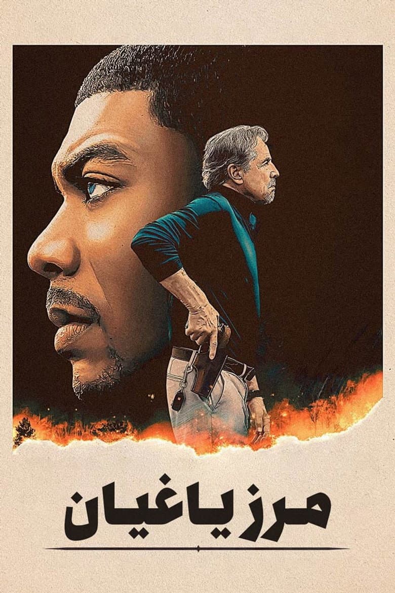 Ảnh poster