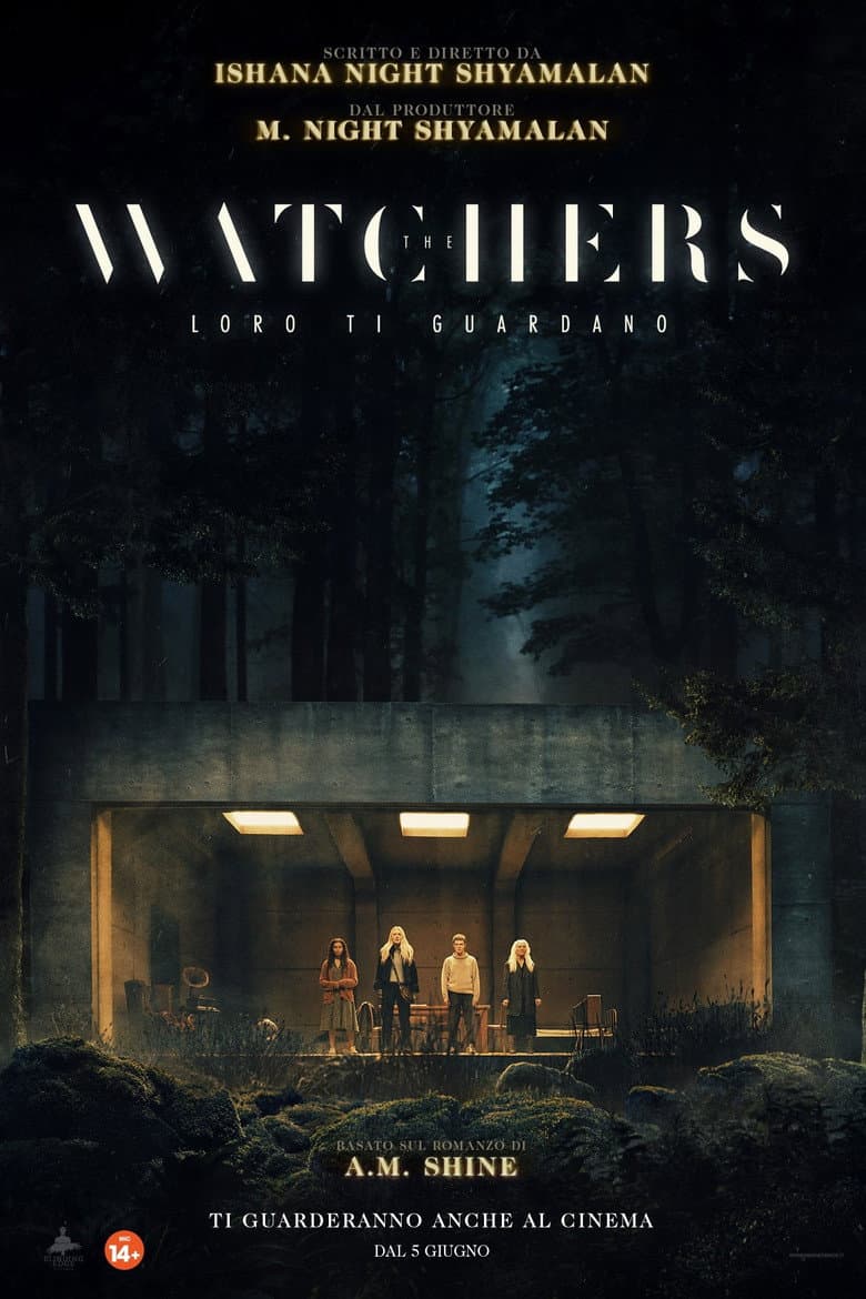 Ảnh poster