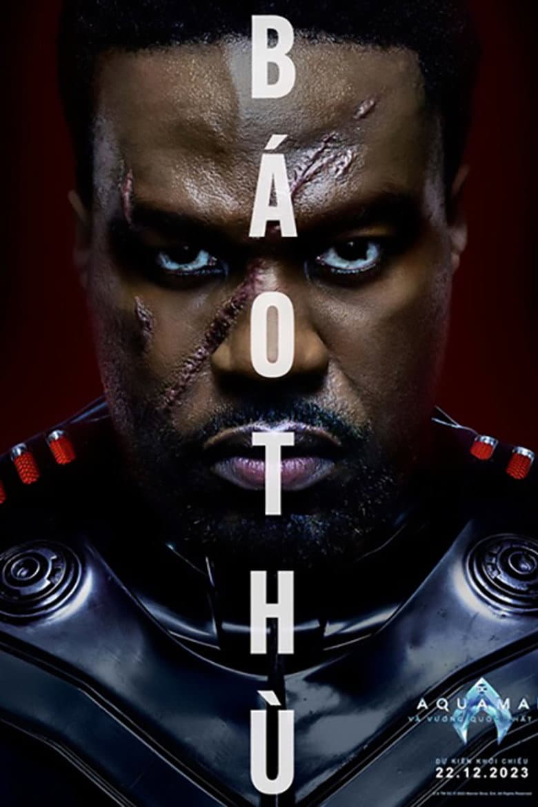 Ảnh poster
