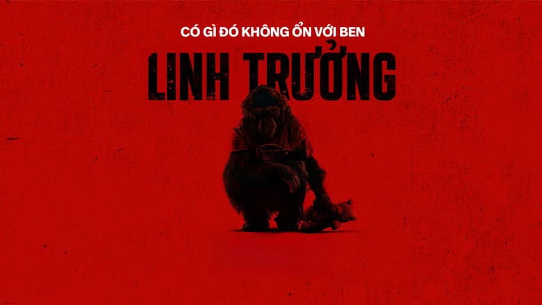 Ảnh backdrop