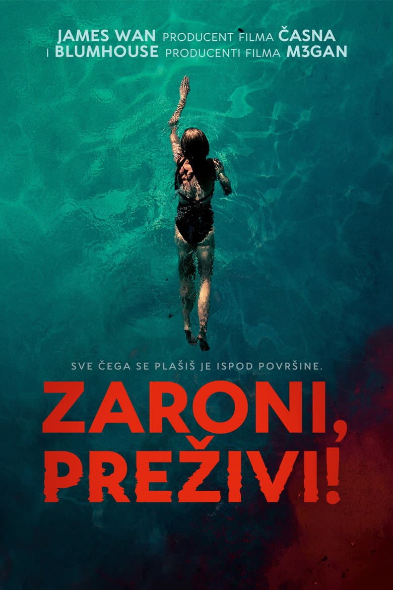 Ảnh poster