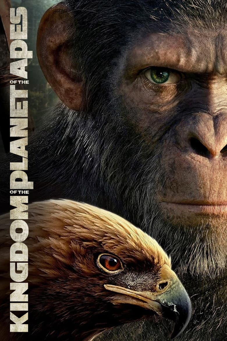 Ảnh poster