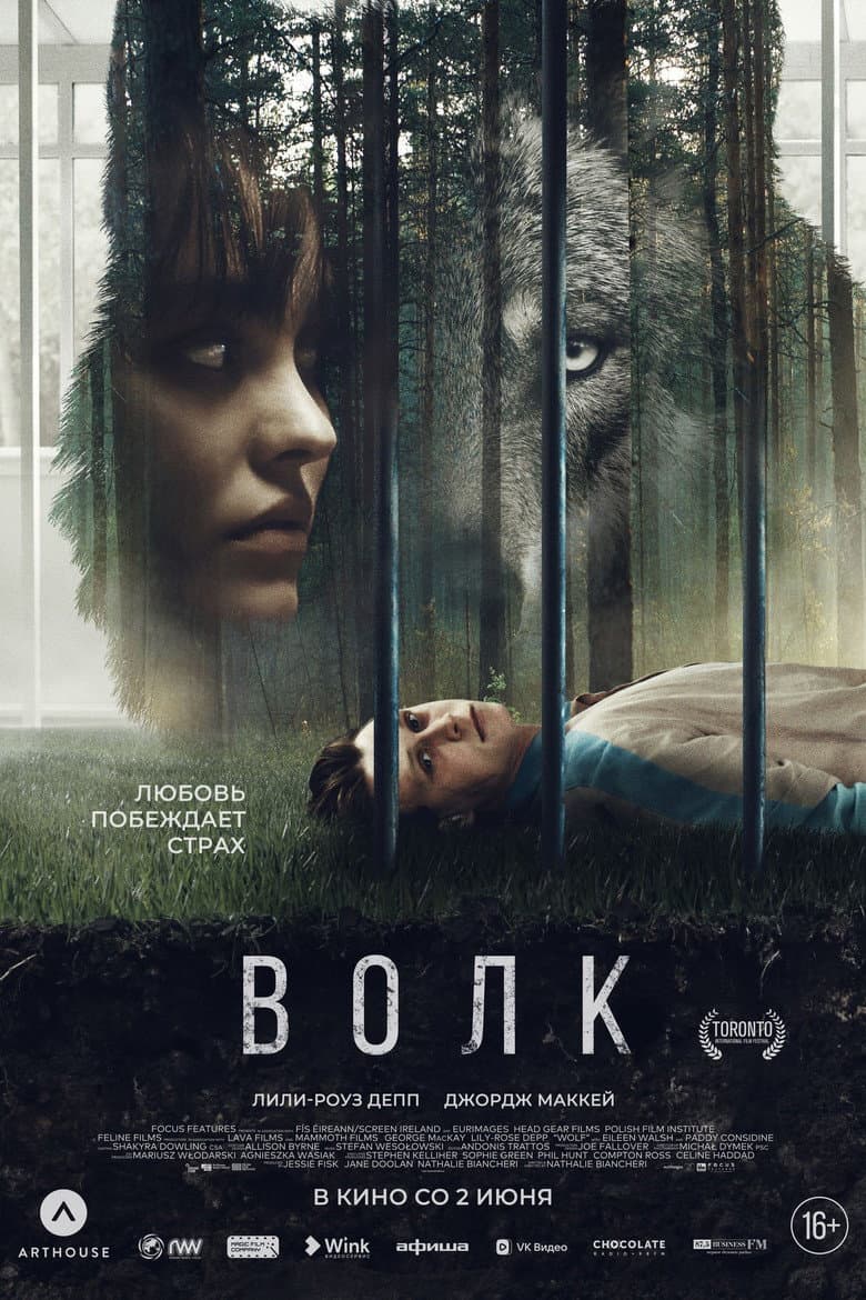 Ảnh poster