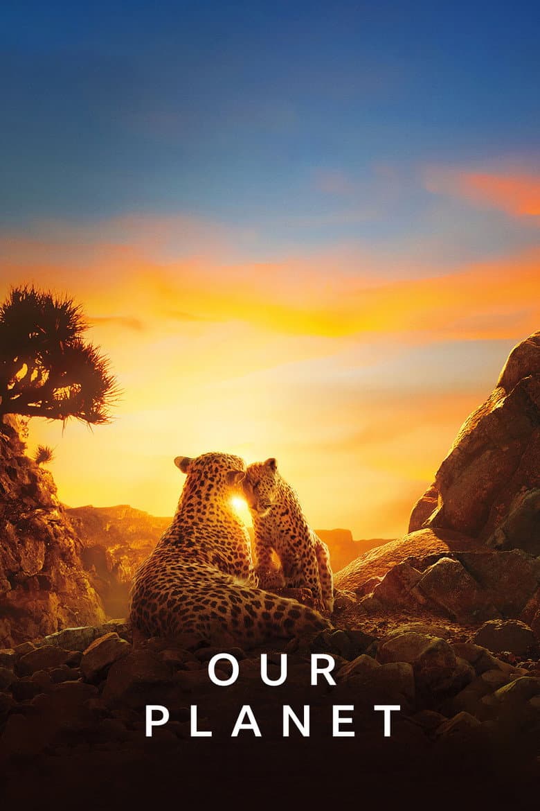 Ảnh poster