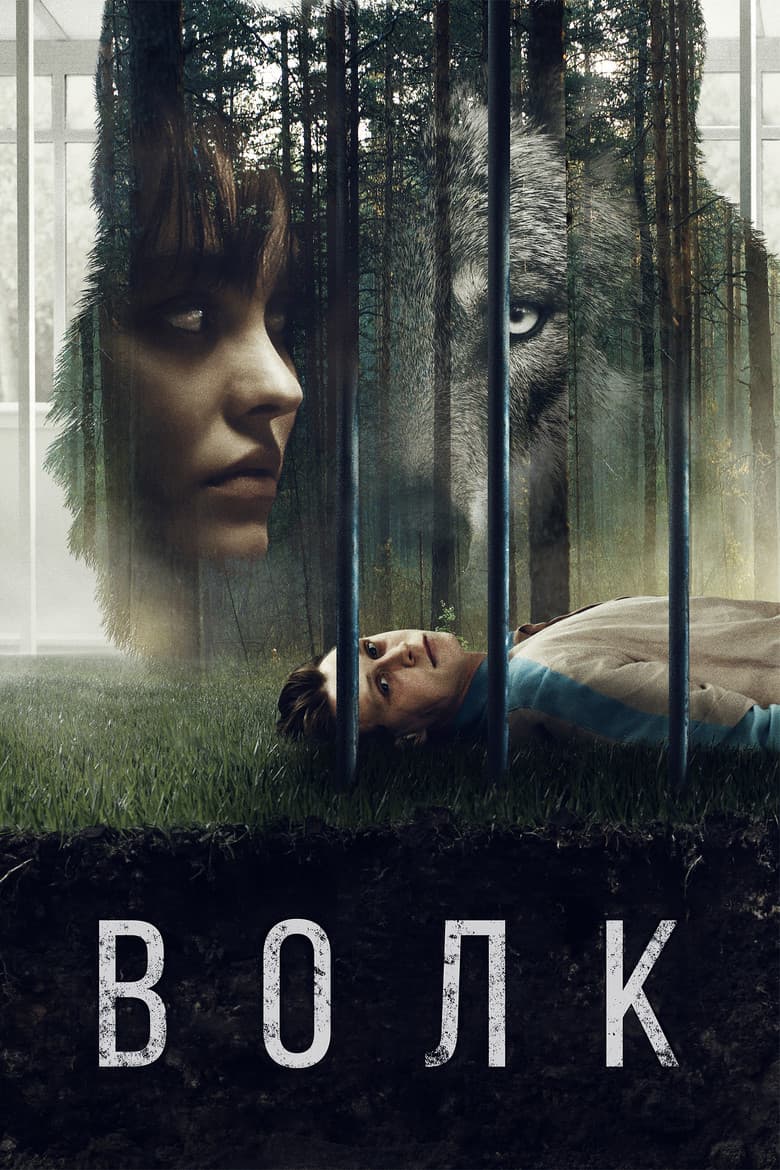 Ảnh poster