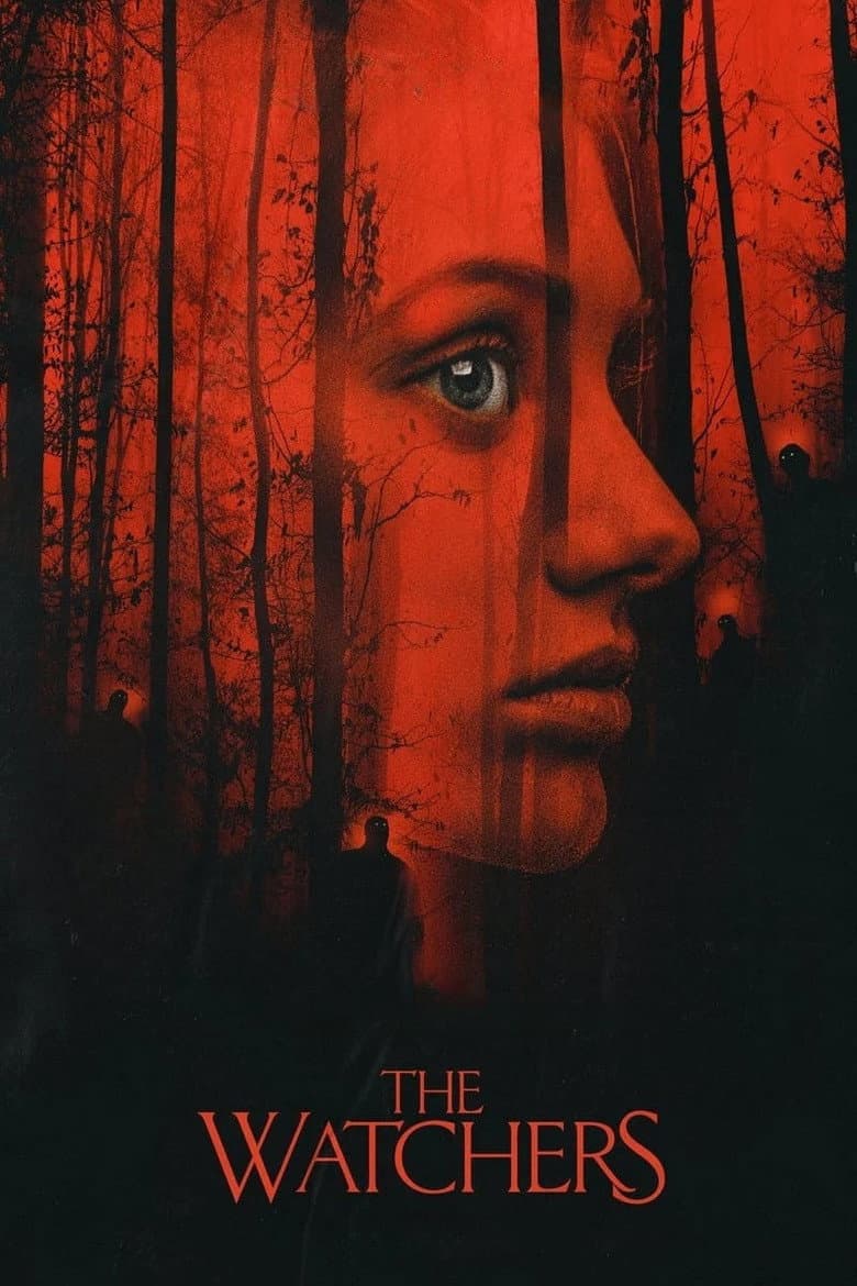 Ảnh poster