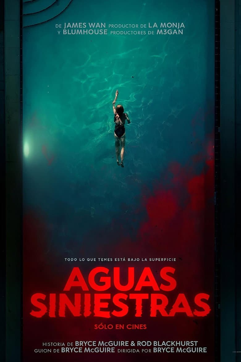 Ảnh poster