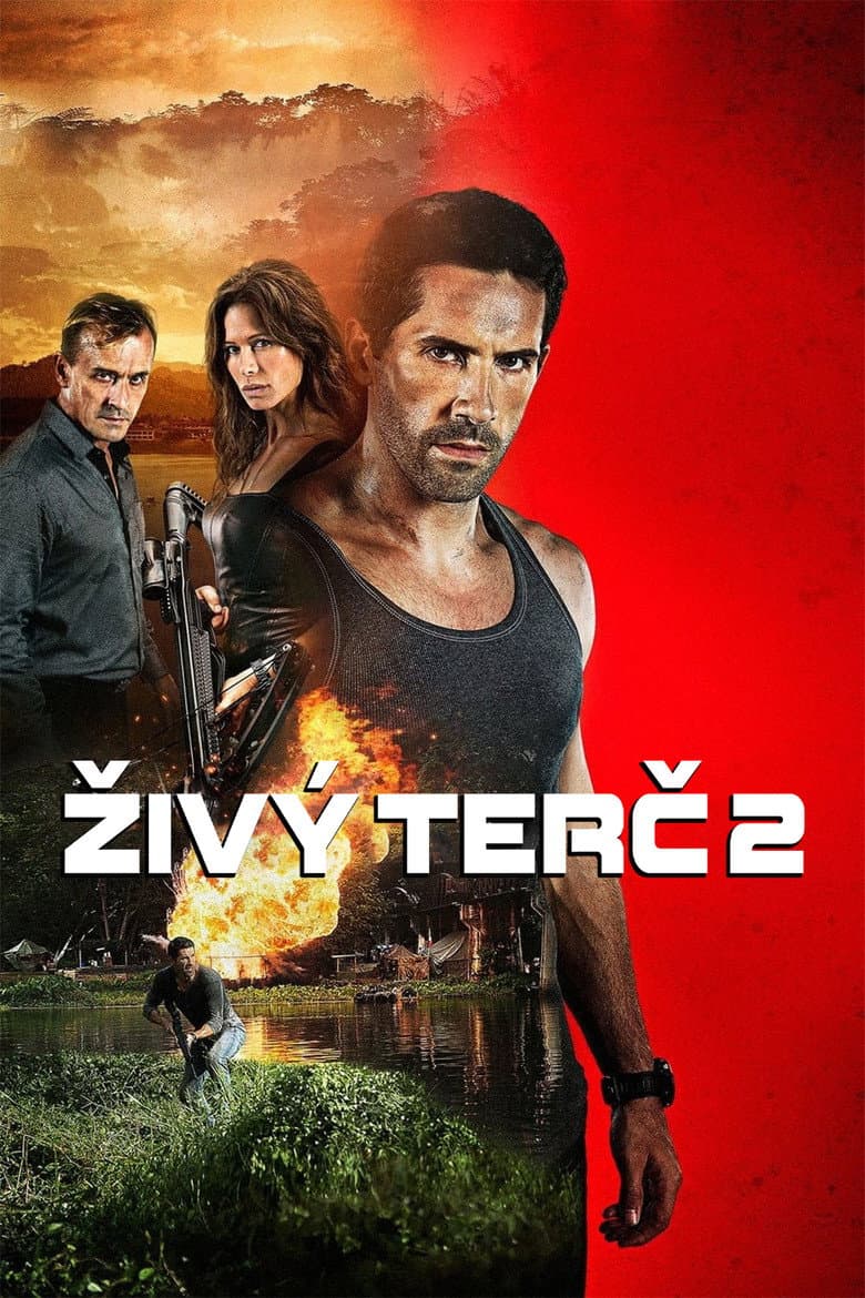 Ảnh poster