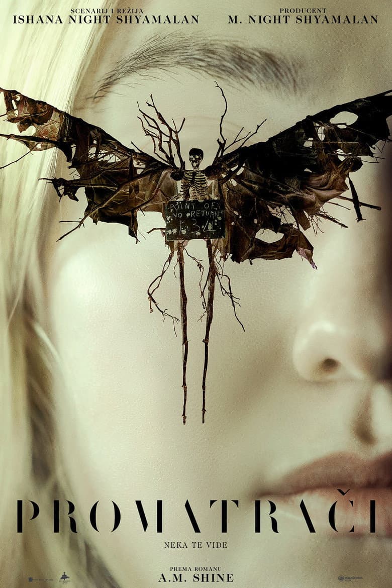 Ảnh poster
