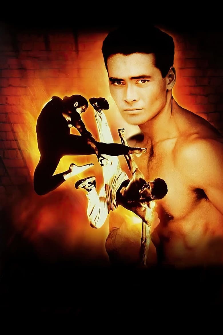 Ảnh poster