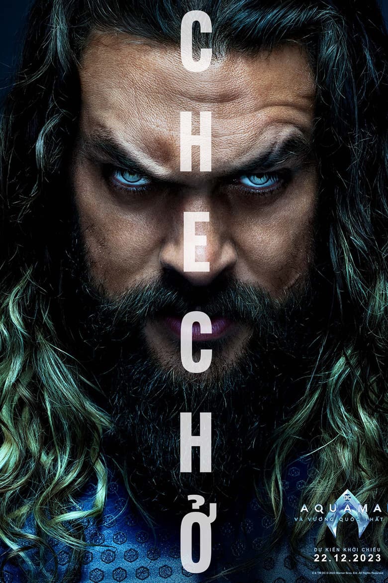 Ảnh poster