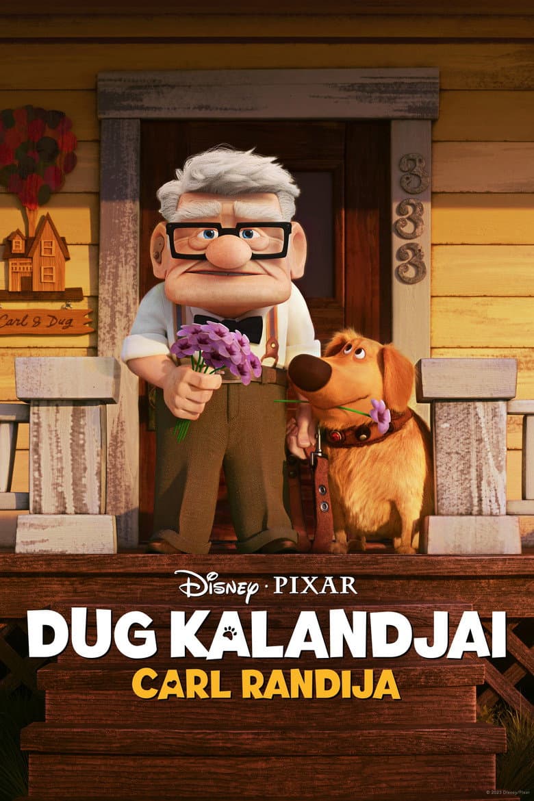 Ảnh poster
