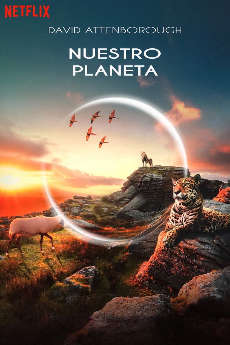 Ảnh poster
