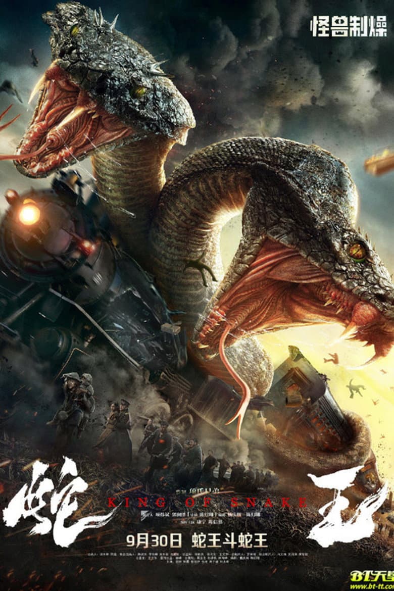 Ảnh poster