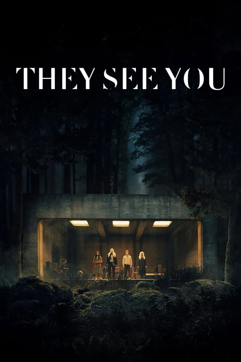 Ảnh poster