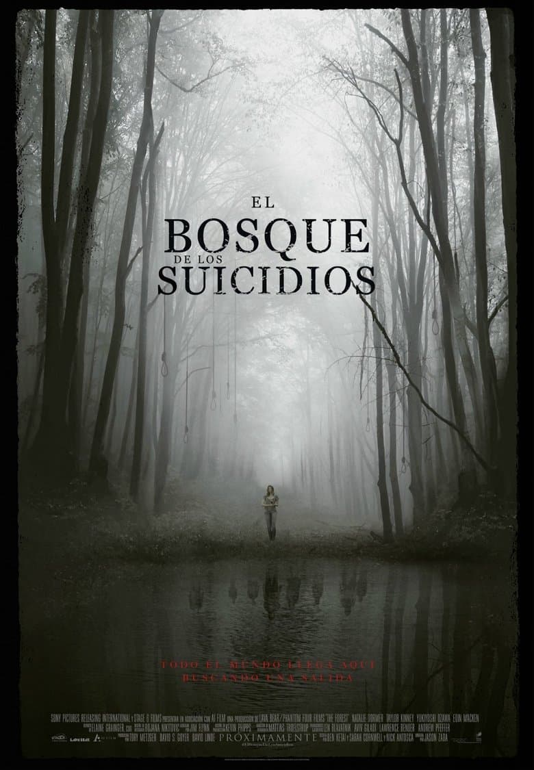 Ảnh poster