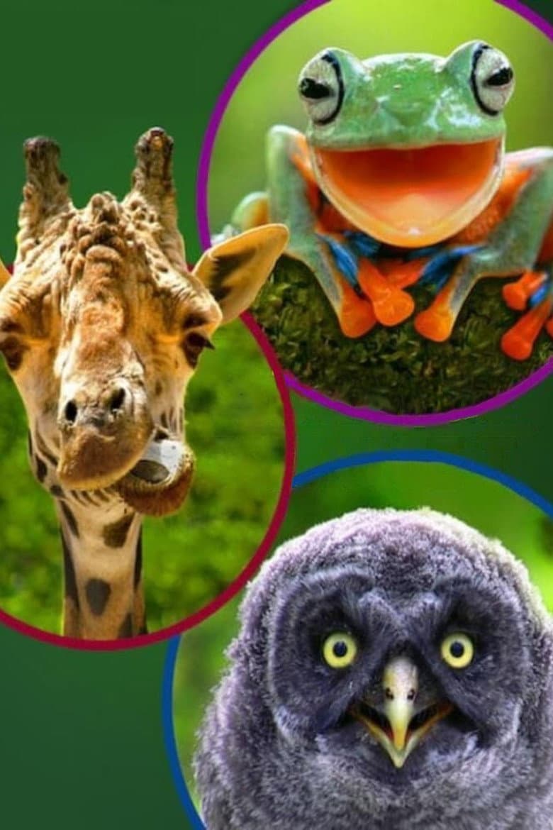 Ảnh poster