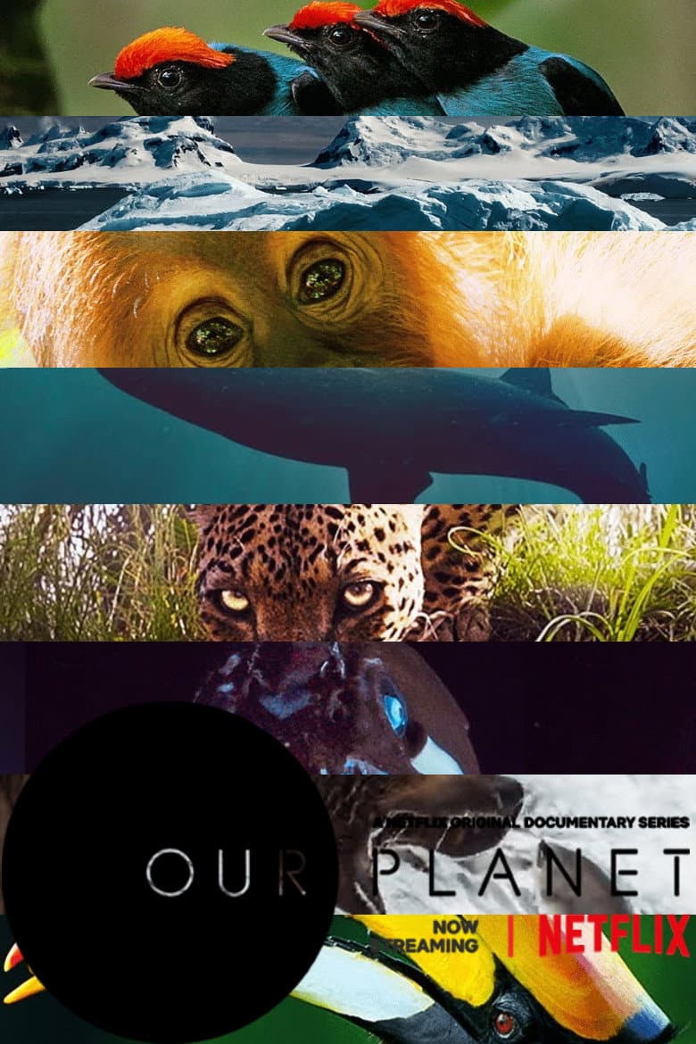 Ảnh poster