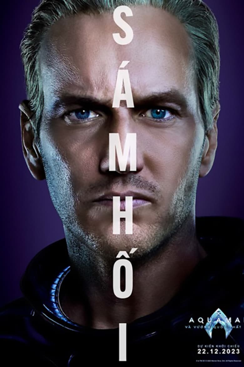 Ảnh poster