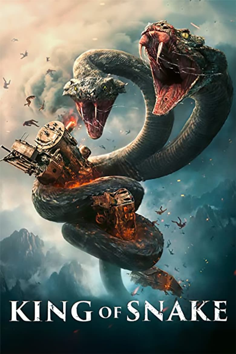 Ảnh poster