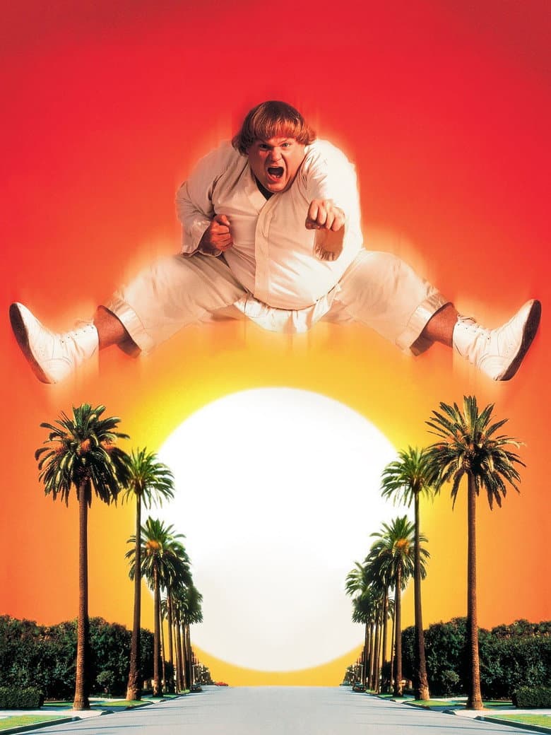 Ảnh poster
