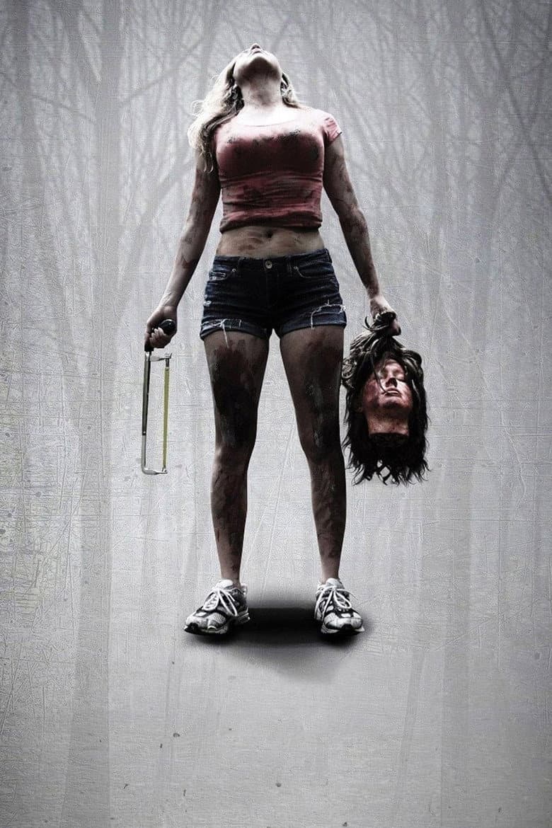 Ảnh poster
