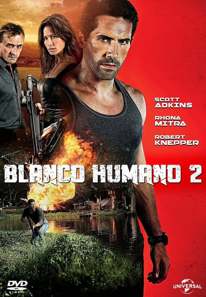 Ảnh poster