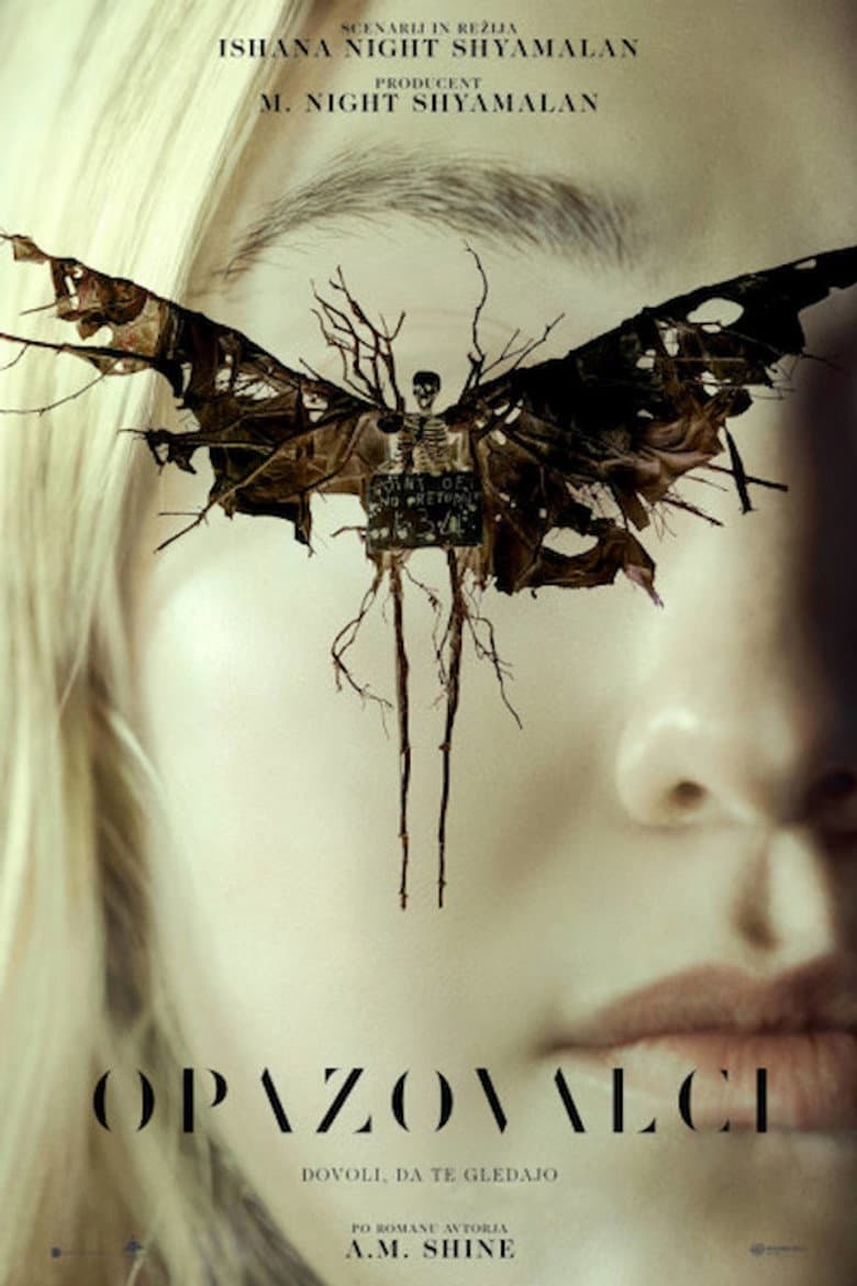 Ảnh poster