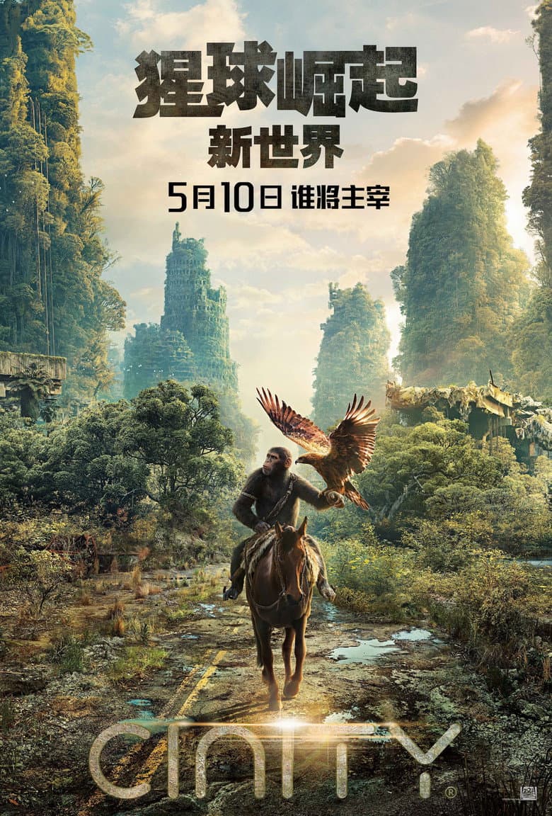 Ảnh poster