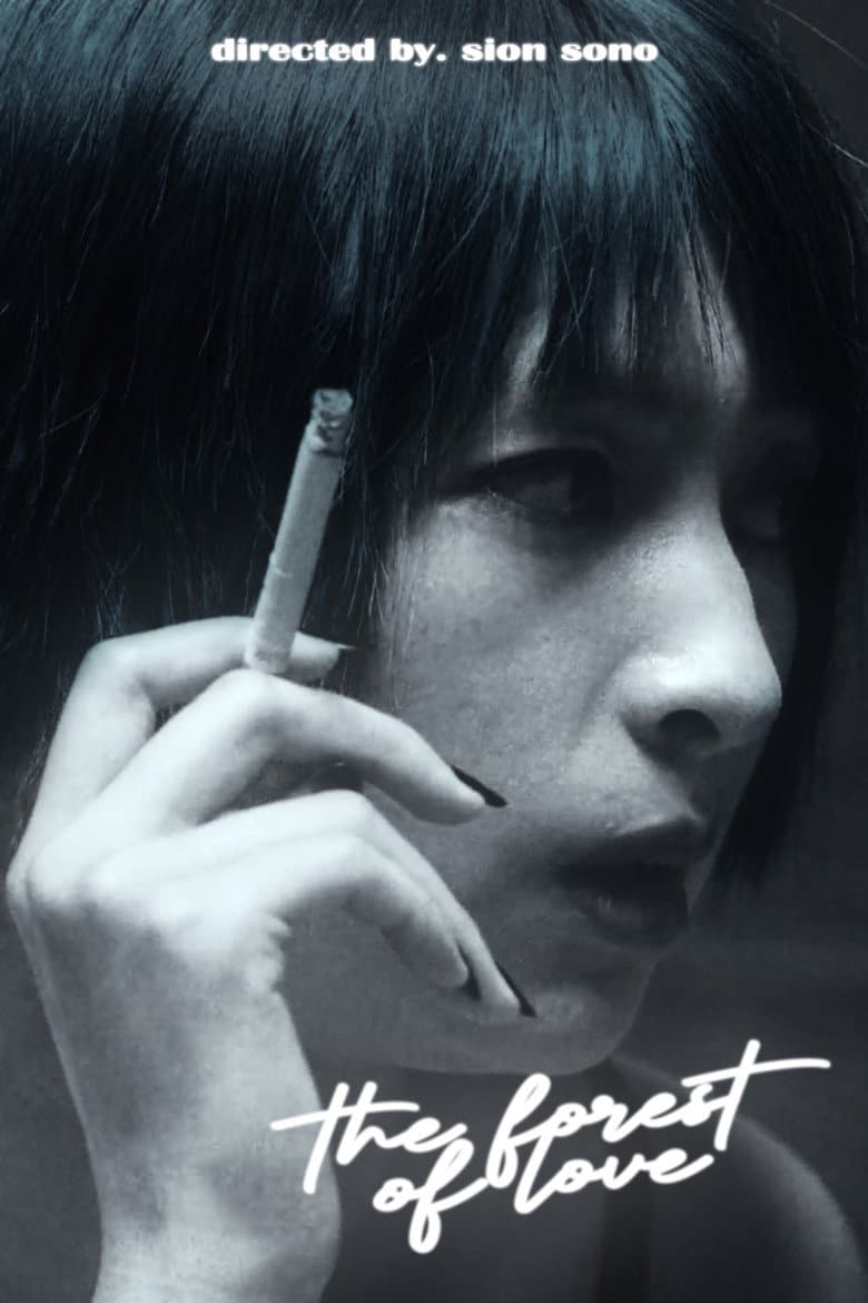 Ảnh poster