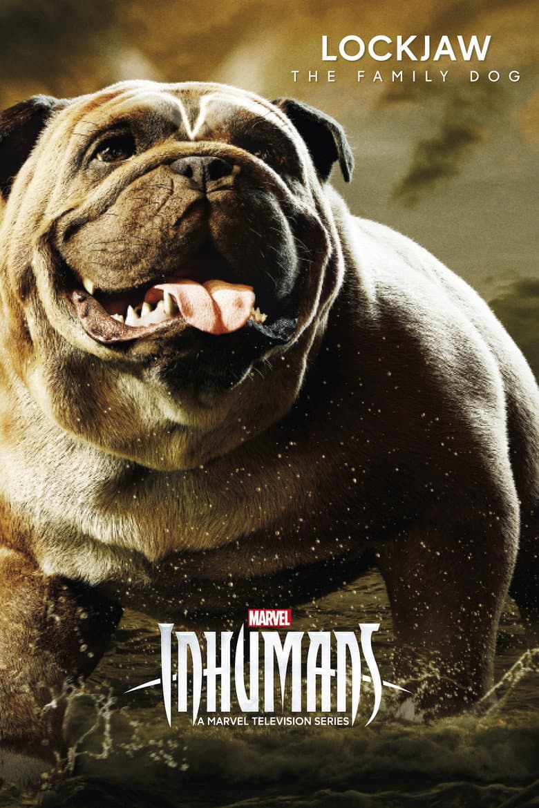 Ảnh poster