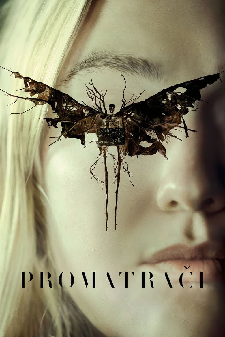 Ảnh poster