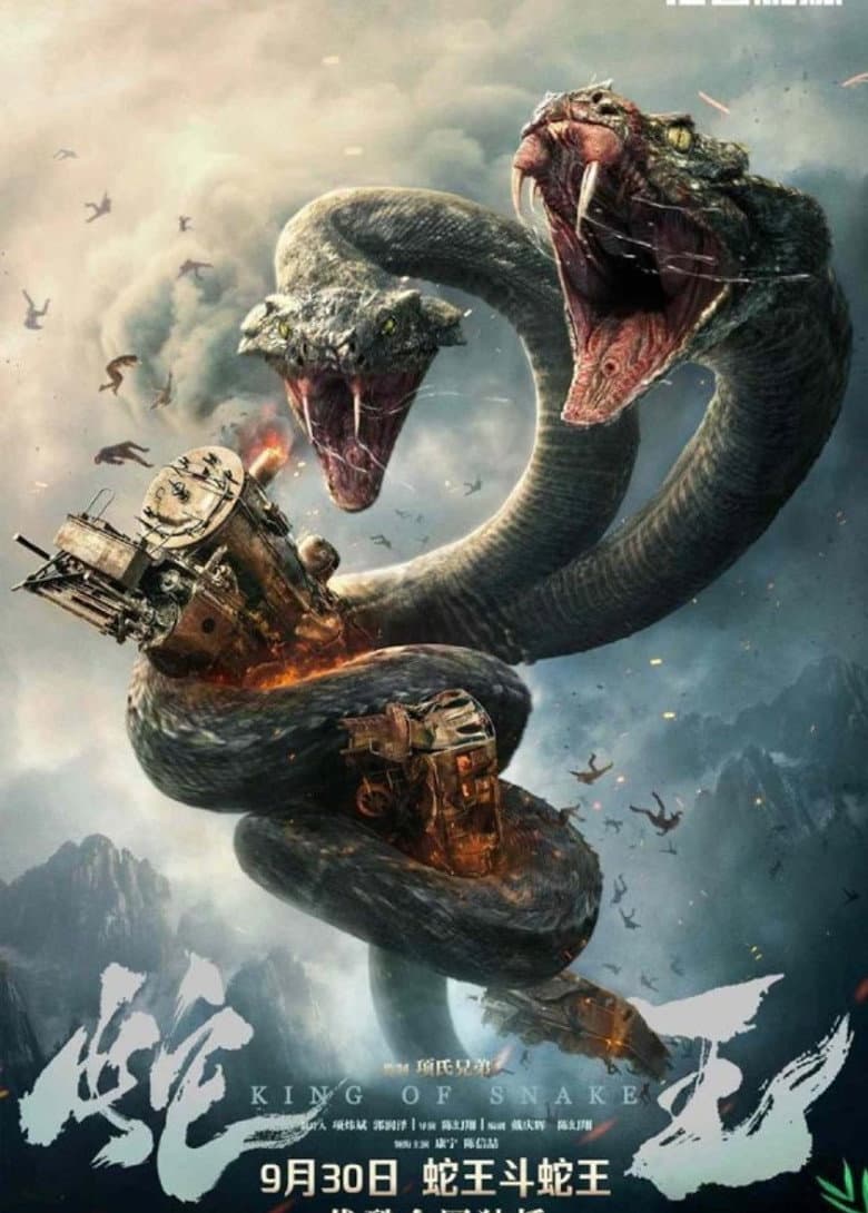 Ảnh poster