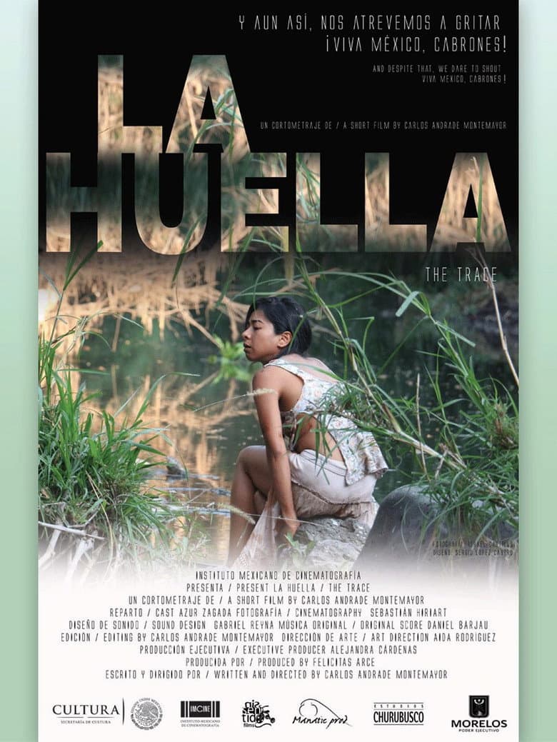 Ảnh poster