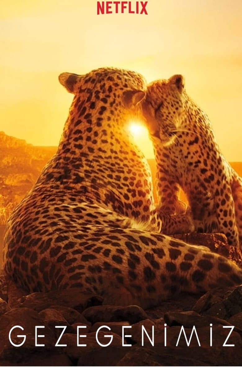 Ảnh poster