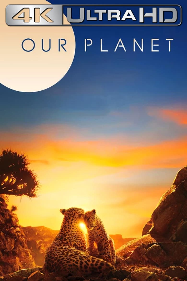 Ảnh poster
