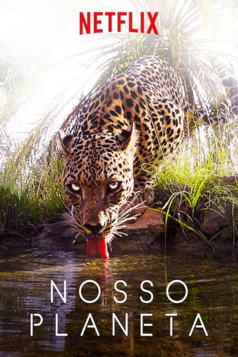 Ảnh poster