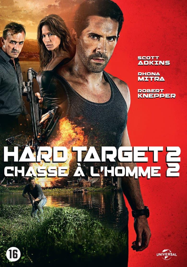 Ảnh poster