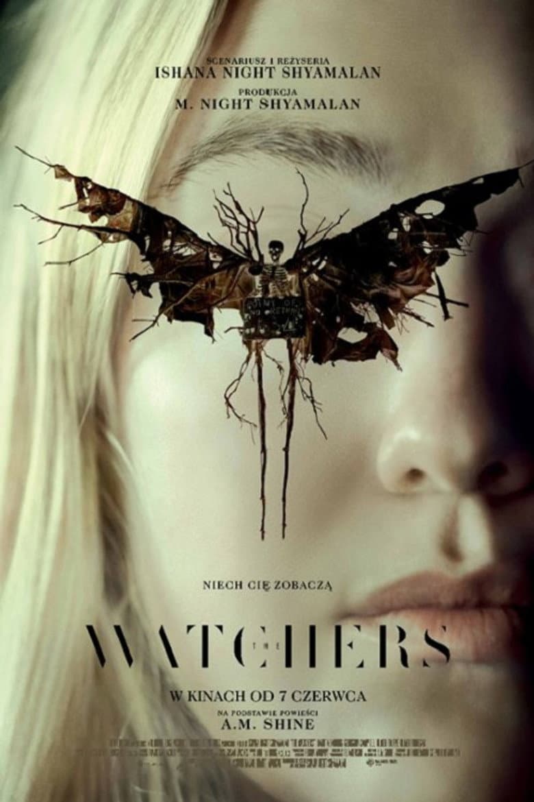 Ảnh poster