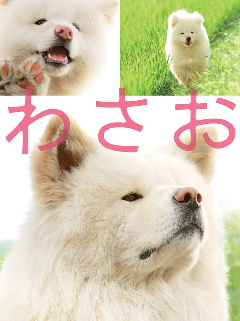 Ảnh poster